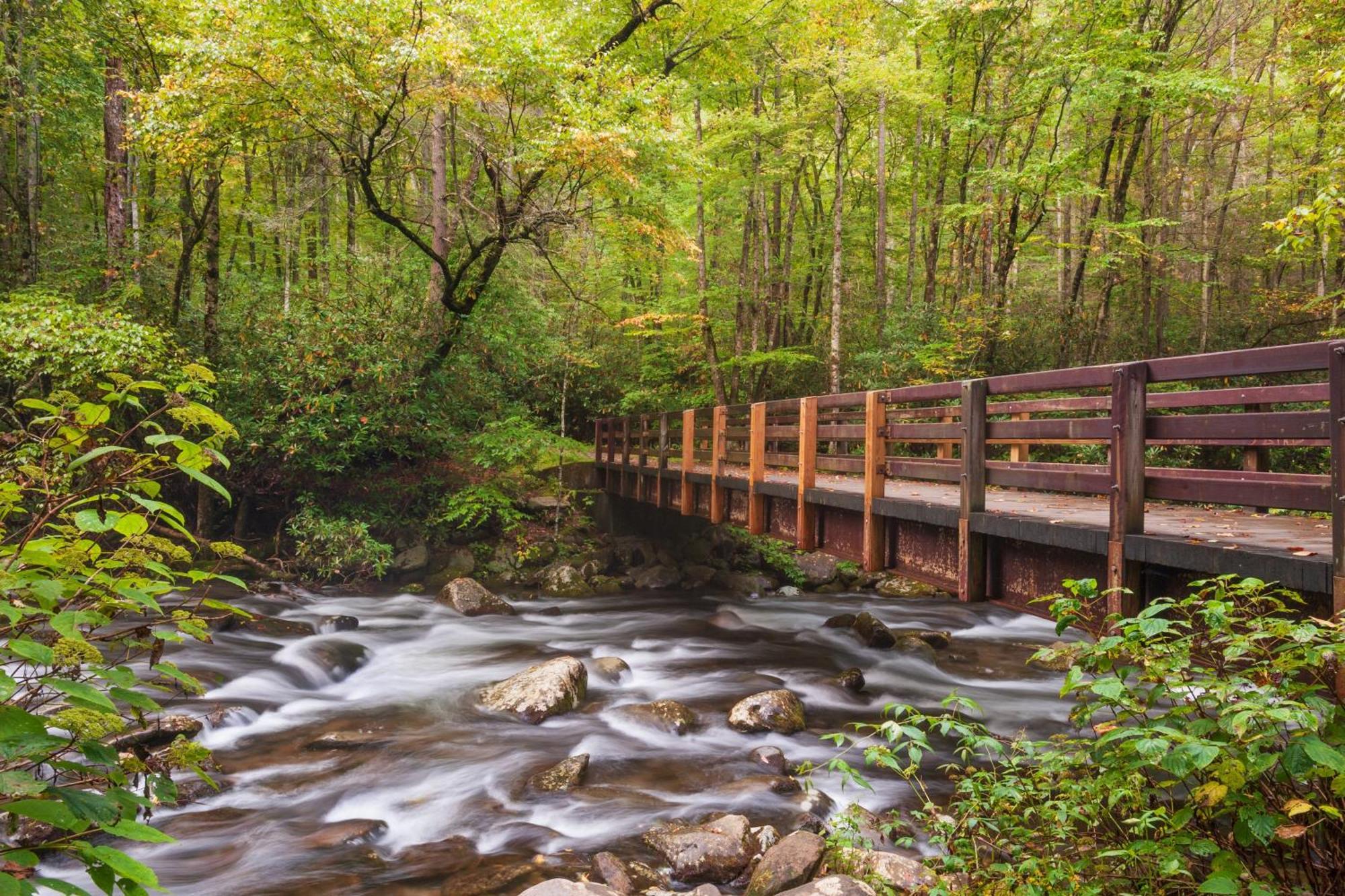 Smoky Mountain Serenity, Amazing Mountain Views 1089 Free Tickets Each Paid Day, Dollywood And More Sevierville Esterno foto
