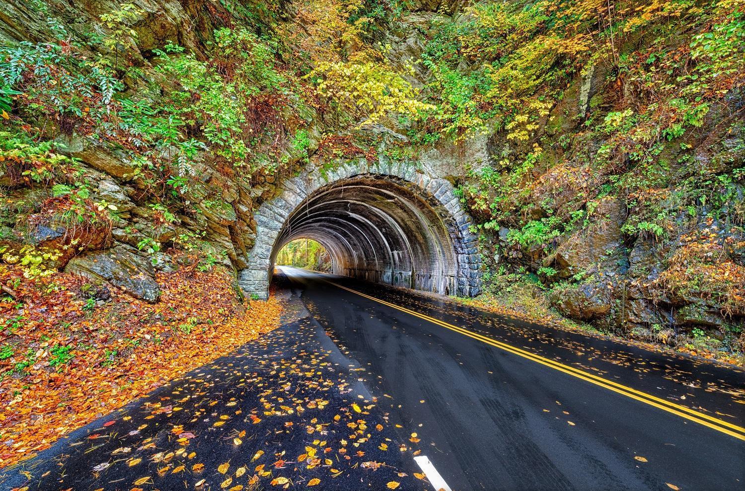 Smoky Mountain Serenity, Amazing Mountain Views 1089 Free Tickets Each Paid Day, Dollywood And More Sevierville Esterno foto
